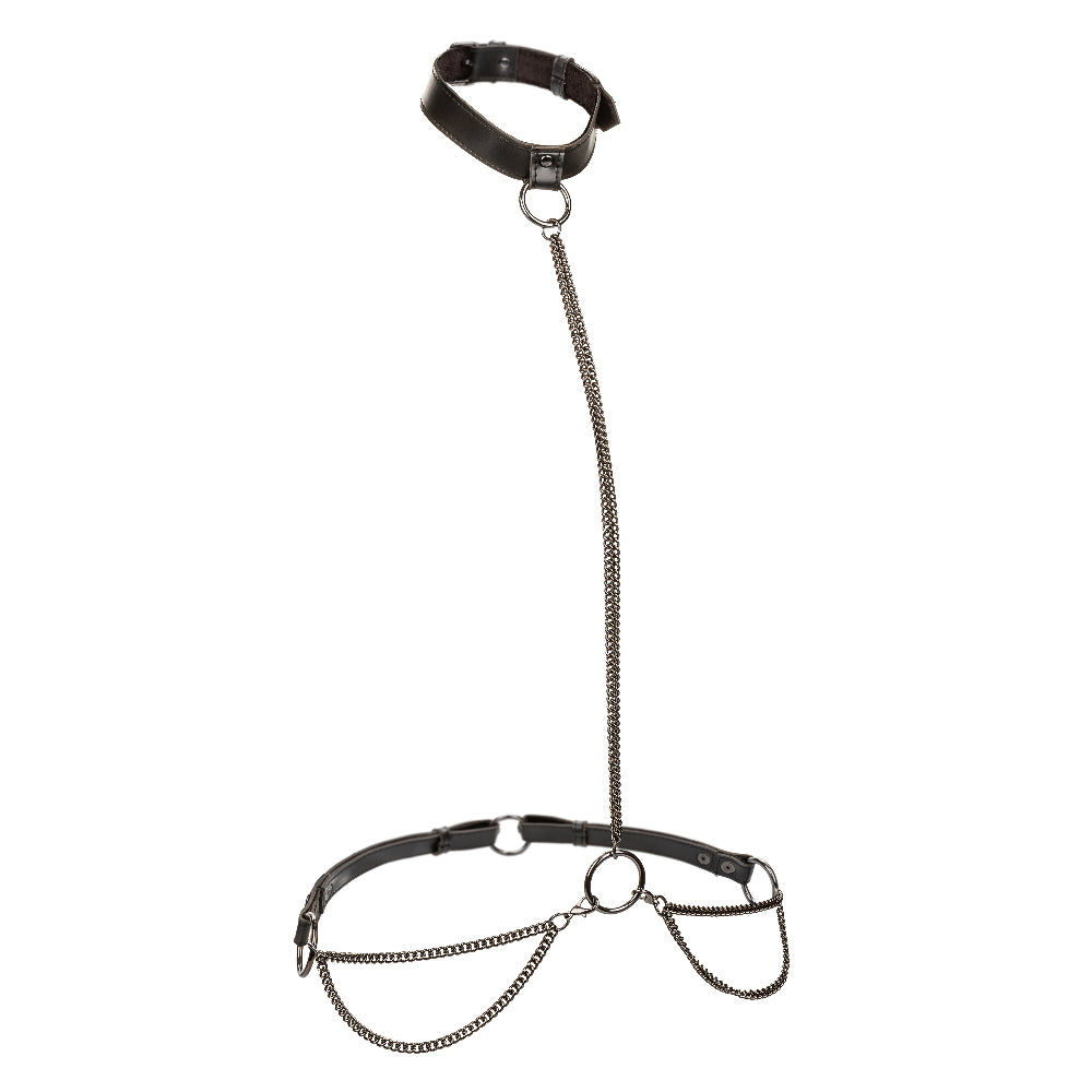 \"Euphoria Collection Plus Size Chain Halter/collar and Leash - Black SE3101013\"