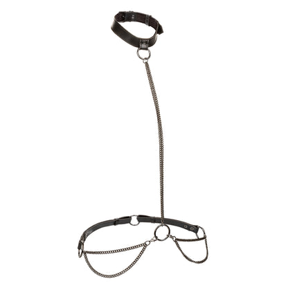 \"Euphoria Collection Plus Size Chain Halter/collar and Leash - Black SE3101013\"
