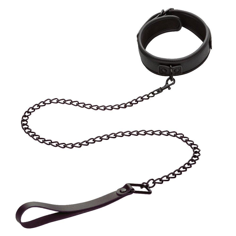 \"Nocturnal Collection Collar and Leash - Black SE2678103\"