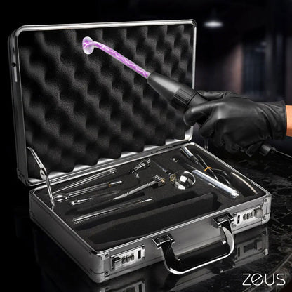 Zs Ultimate Edition Violet Wand Set