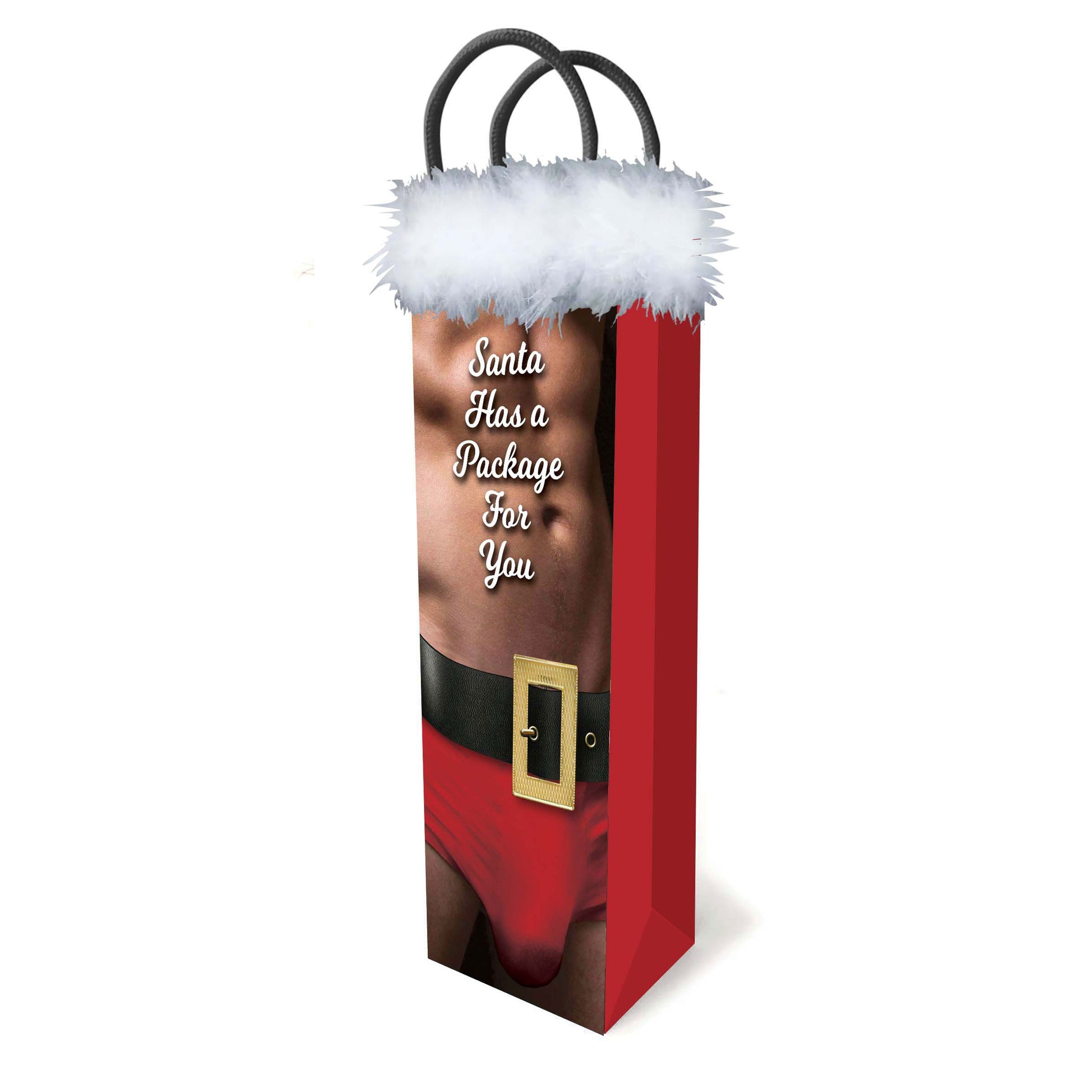 Santa Has a Big Package for You